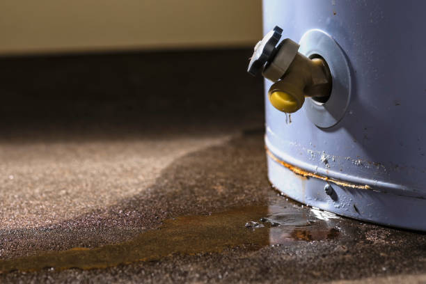 Best Water damage restoration experts  in Logan, WV