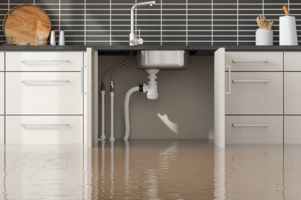 Best Residential water damage restoration  in Logan, WV