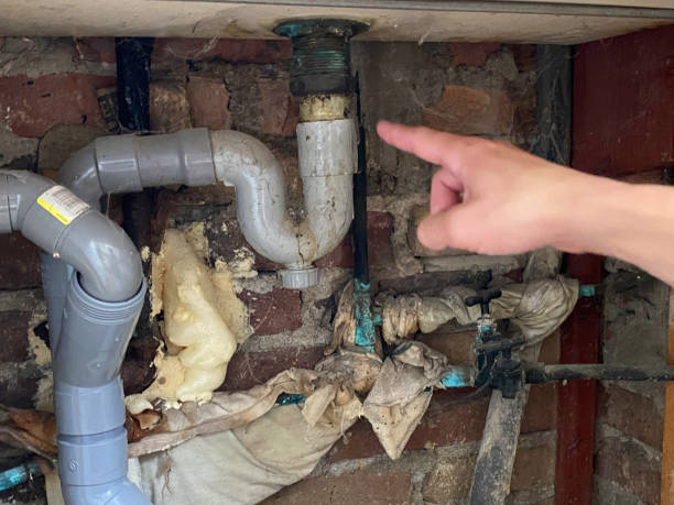 Best Fire Damage Restoration  in Logan, WV