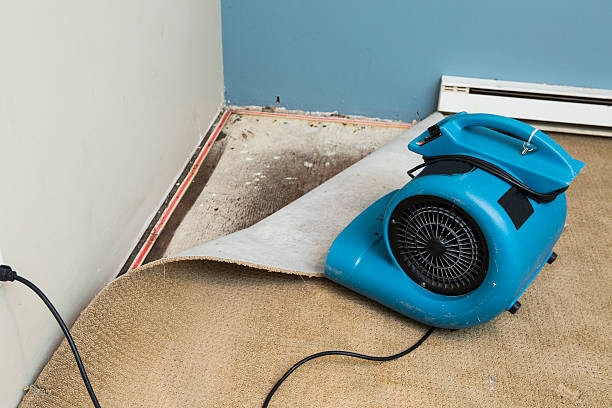 Best Water damage restoration cost  in Logan, WV